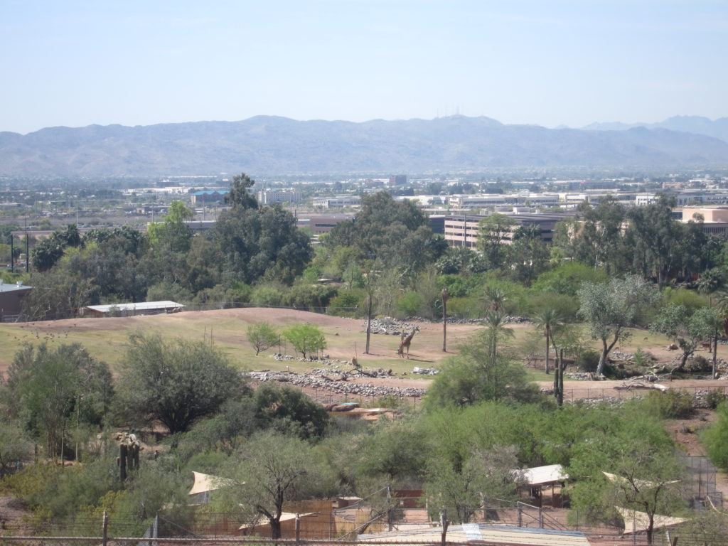 Enjoy a peak into the giraffe area at the Phoenix zoo from atop Hunt's tomb.